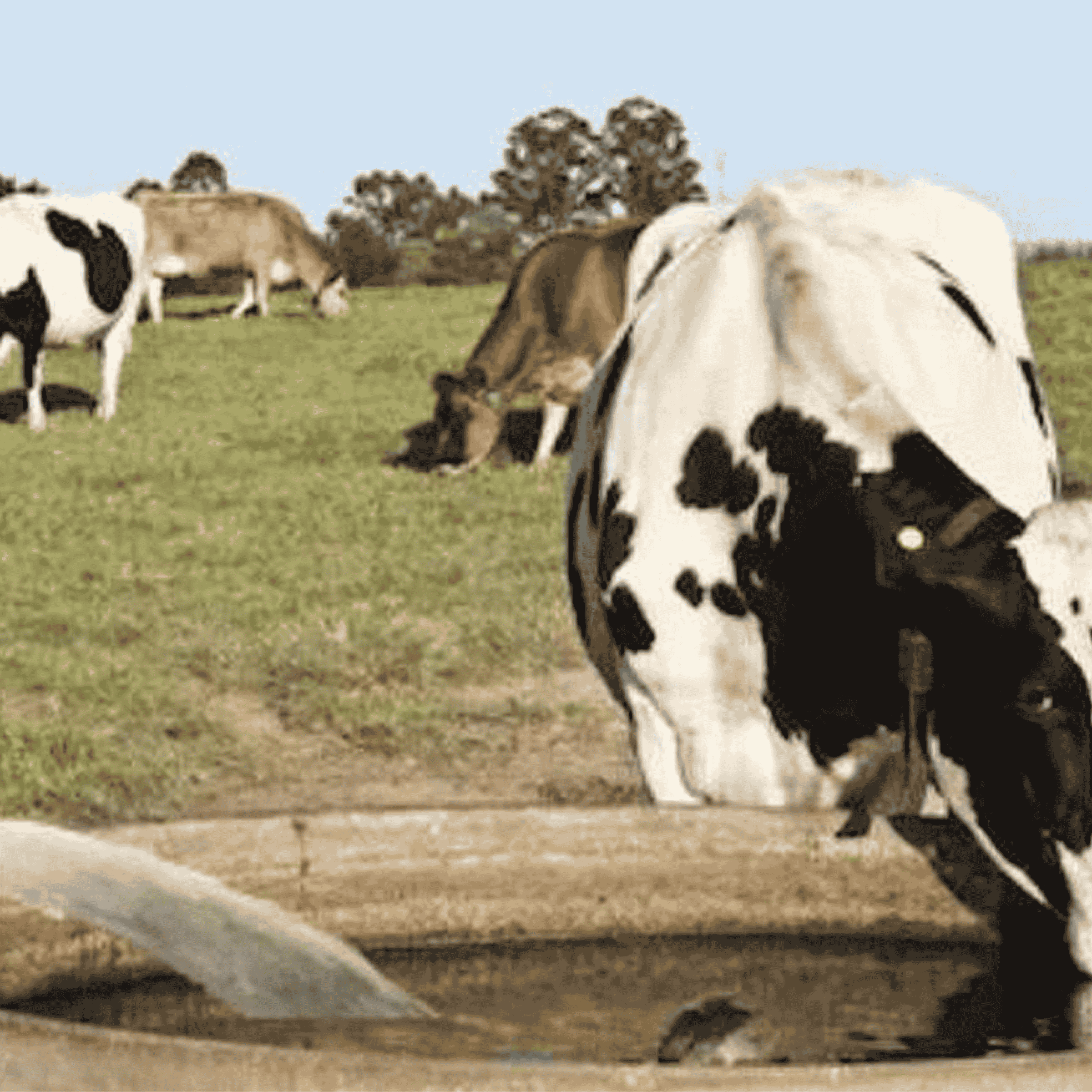 Post para Instagram Aviso Importante 3D Naranja (2400 x 2400 px) (7)